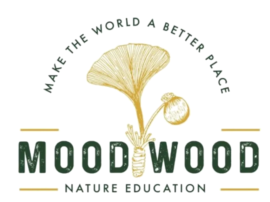 MOODWOOD